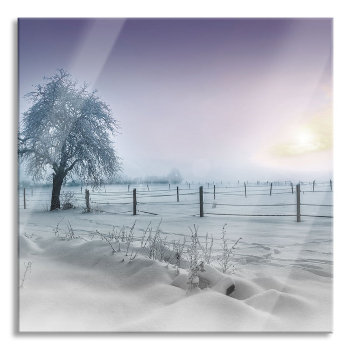 Pixxprint Baum in Winterlandschaft, Glasbild Quadratisch