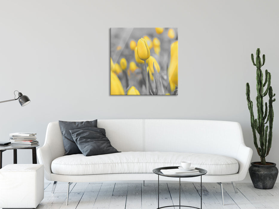 Gelbes Tulpenmeer, Glasbild Quadratisch