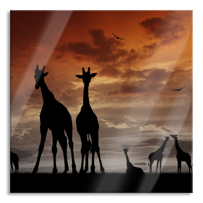 Pixxprint Afrika Giraffen im Sonnenuntergang, Glasbild Quadratisch