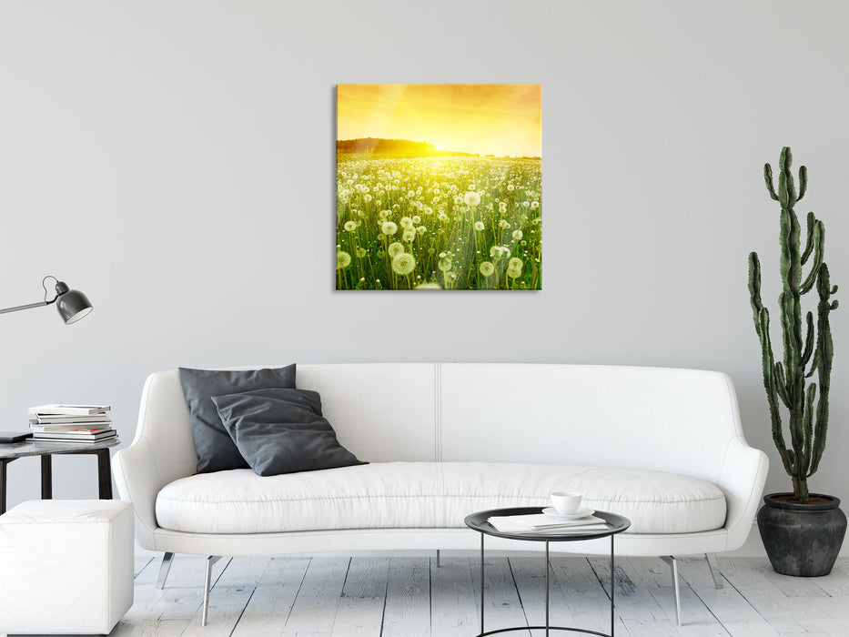 Pusteblumen Sonnenuntergang, Glasbild Quadratisch