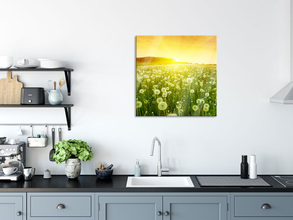 Pusteblumen Sonnenuntergang, Glasbild Quadratisch