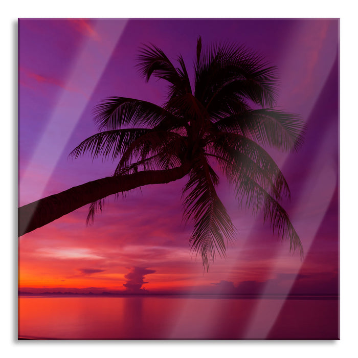 Palme am Meer mit Sonnenuntergang, Glasbild Quadratisch