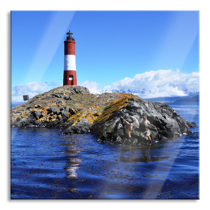 Leuchtturm mit Robben, Glasbild Quadratisch