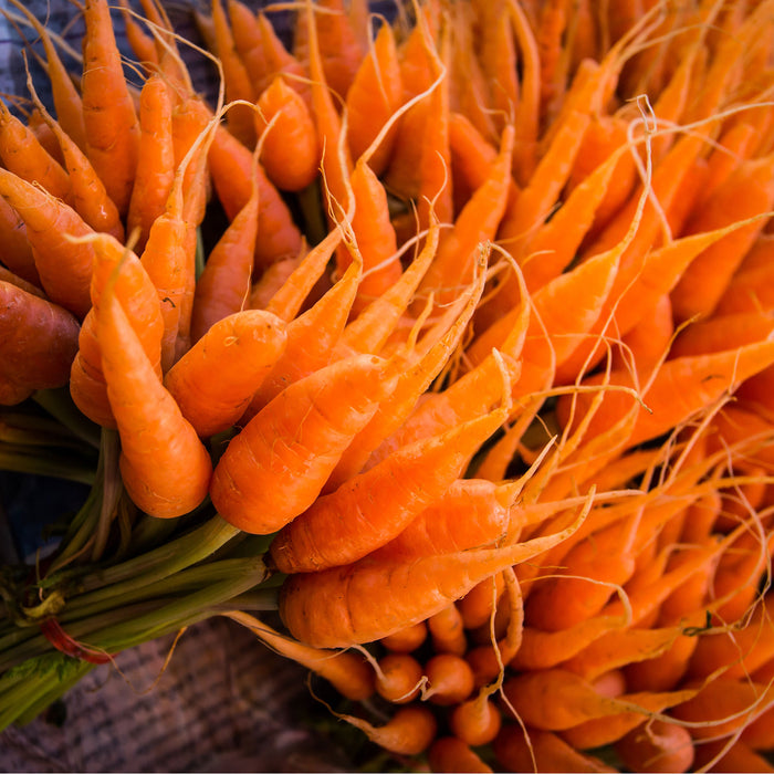 Gesunder Möhrenstrauß, Glasbild Quadratisch