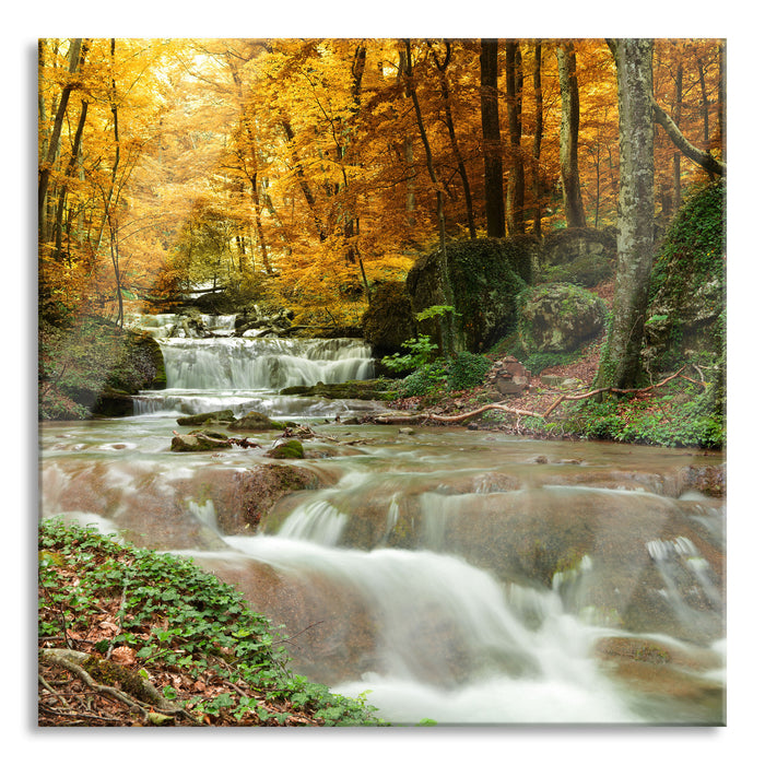 Pixxprint Waldbach im Herbst, Glasbild Quadratisch