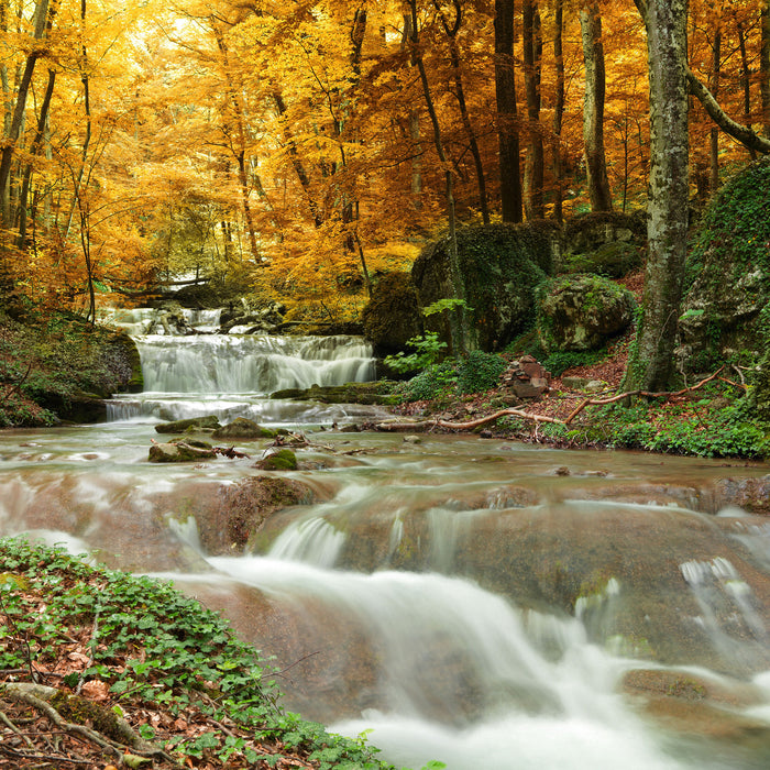 Waldbach im Herbst, Glasbild Quadratisch