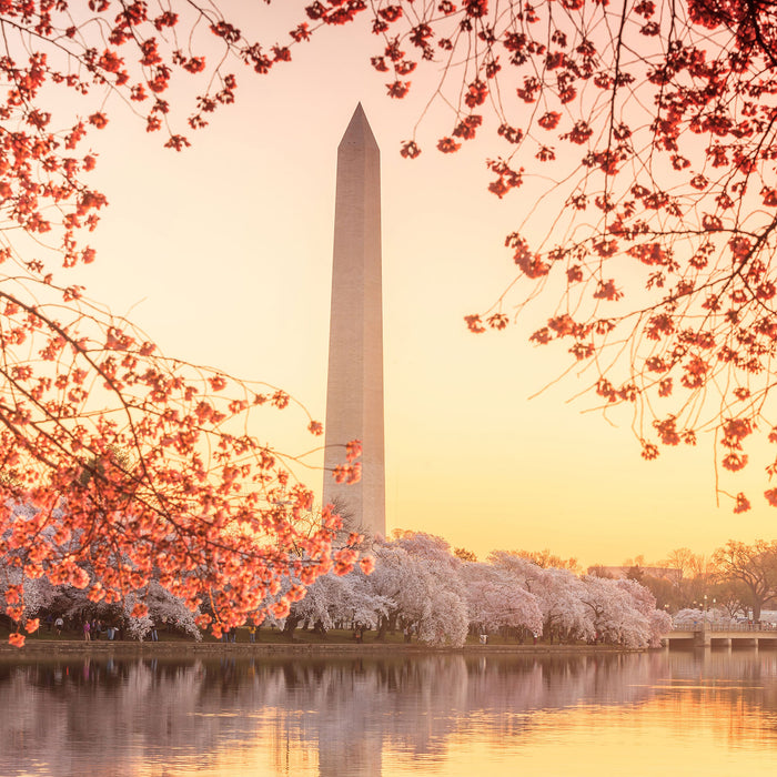 Jefferson Memorial, Glasbild Quadratisch