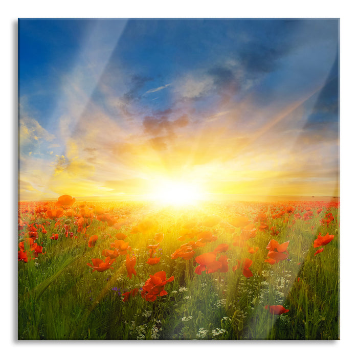 Pixxprint Mohnwiese in der Sonne, Glasbild Quadratisch