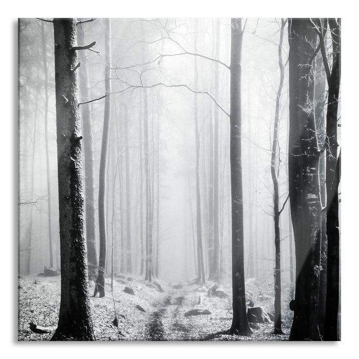 Pixxprint Mystischer Wald, Glasbild Quadratisch