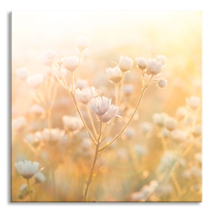 Pixxprint Romantische Blumenwiese, Glasbild Quadratisch