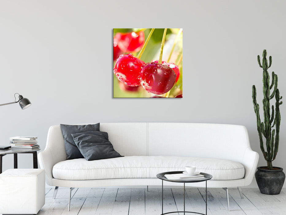 Frische Kirschen am Baum, Glasbild Quadratisch