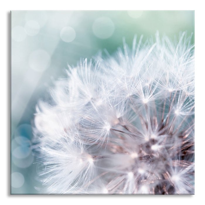 Pixxprint Zauberhafte Pusteblume, Glasbild Quadratisch