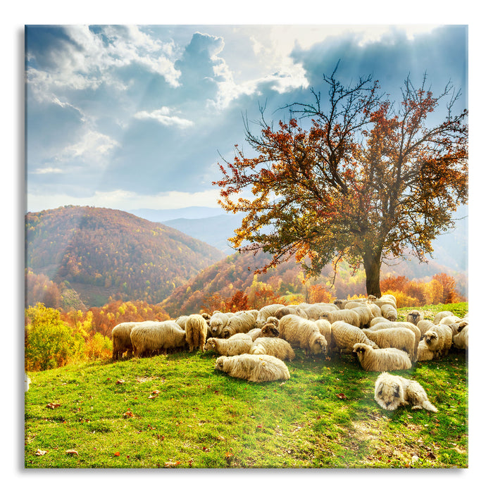 Pixxprint Romanian Carpathians Gebirge, Glasbild Quadratisch