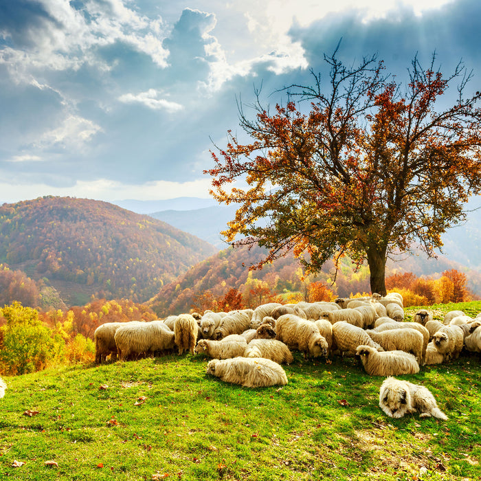 Romanian Carpathians Gebirge, Glasbild Quadratisch