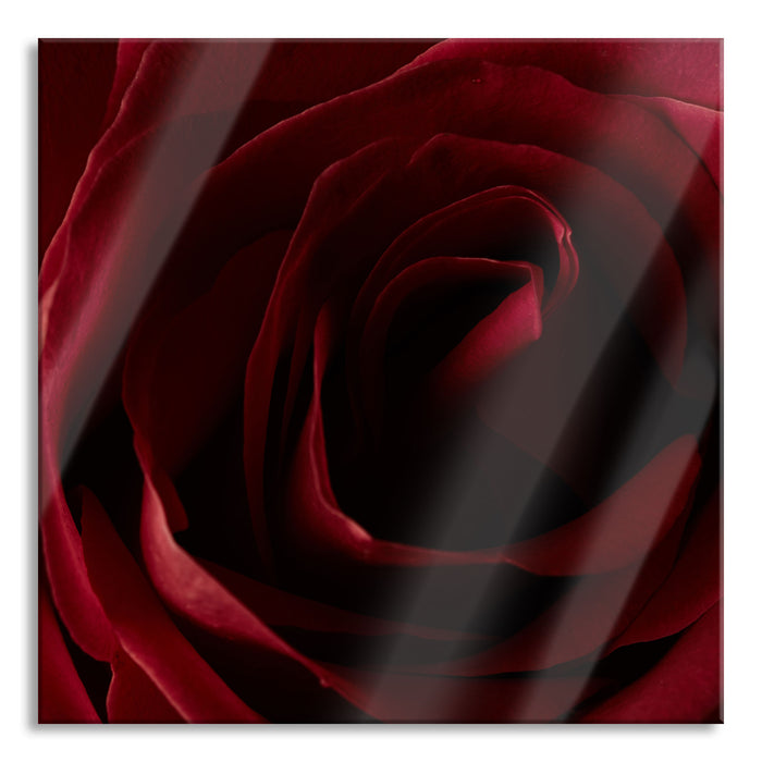 Pixxprint Rote Rose, Glasbild Quadratisch