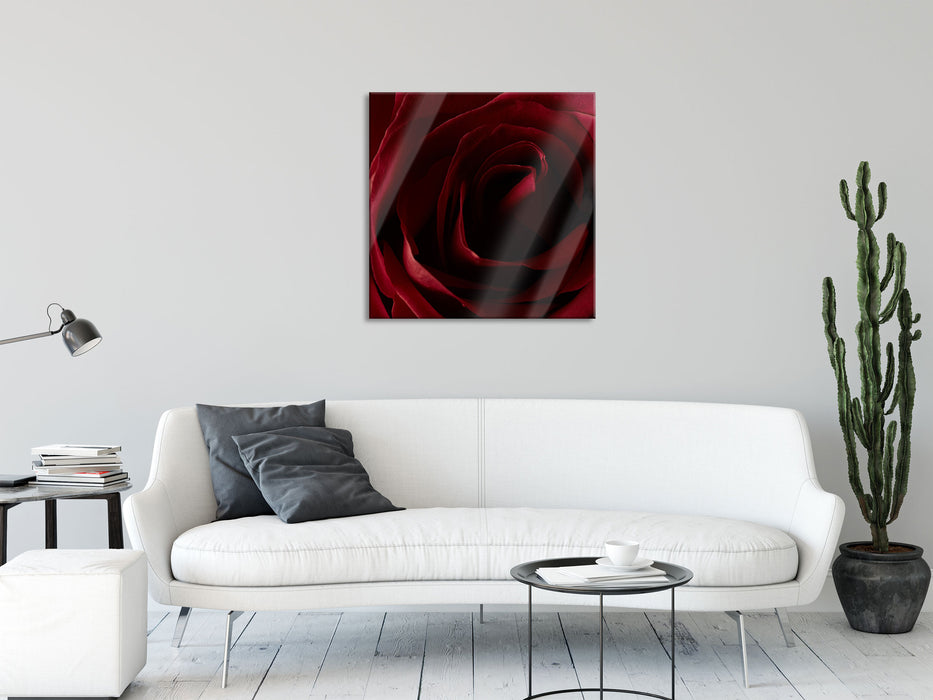 Rote Rose, Glasbild Quadratisch