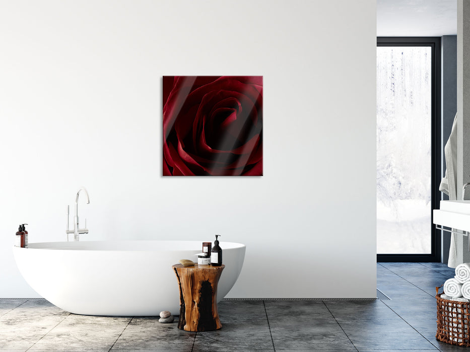 Rote Rose, Glasbild Quadratisch