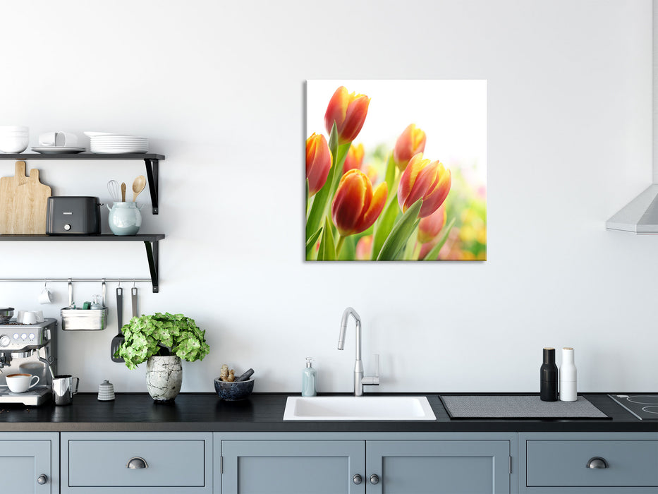 Bunte Tulpenwiese, Glasbild Quadratisch