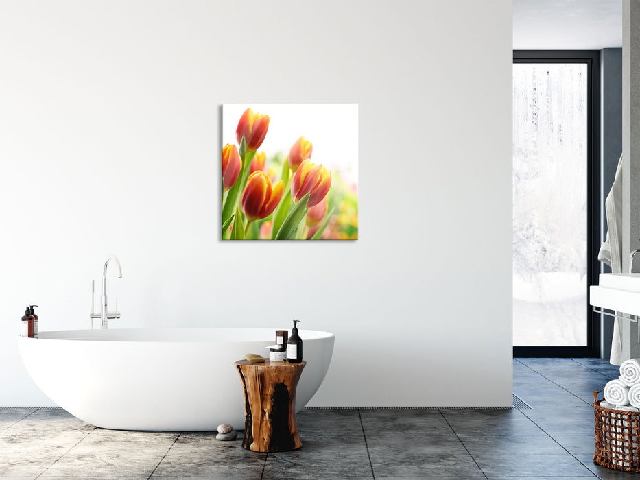 Bunte Tulpenwiese, Glasbild Quadratisch