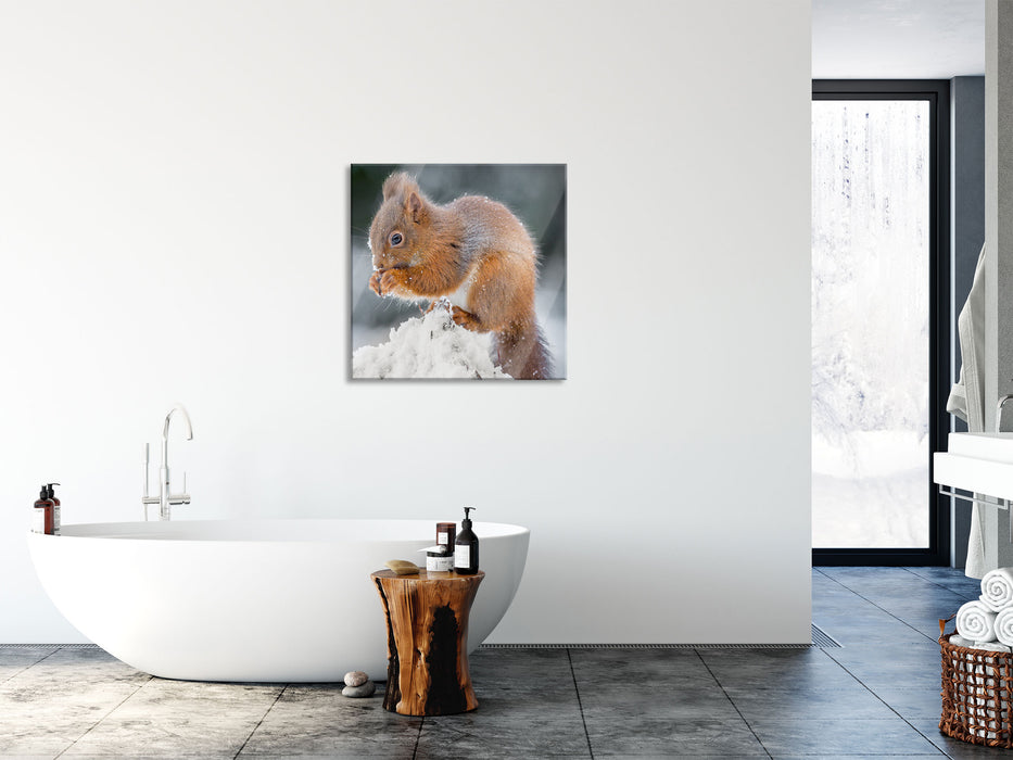 Kleines Eichhörnchen im Winter, Glasbild Quadratisch