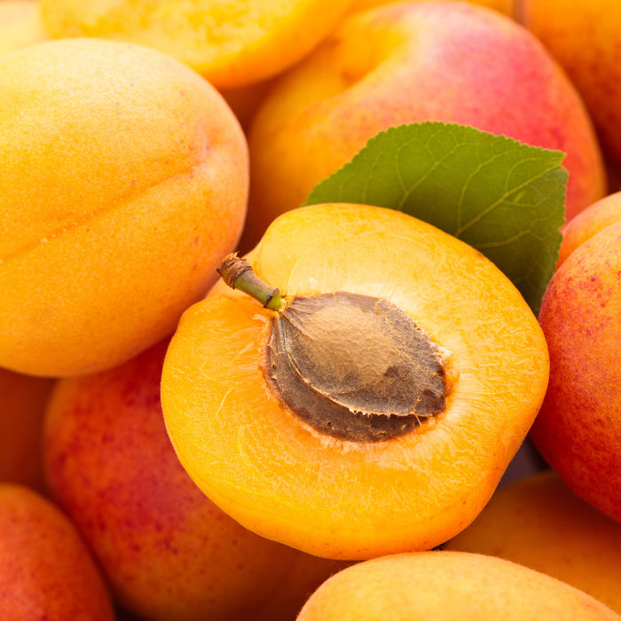 Frische Aprikosen, Glasbild Quadratisch