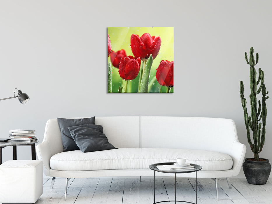 Rote Tulpen mit Tropfen bedeckt, Glasbild Quadratisch