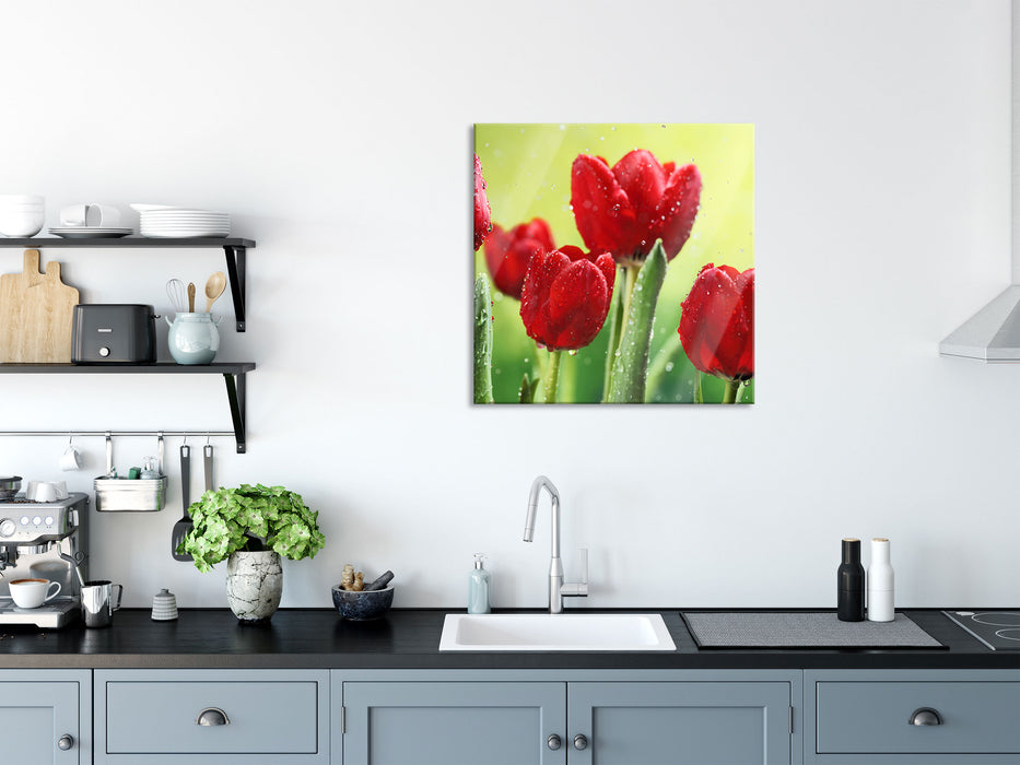 Rote Tulpen mit Tropfen bedeckt, Glasbild Quadratisch