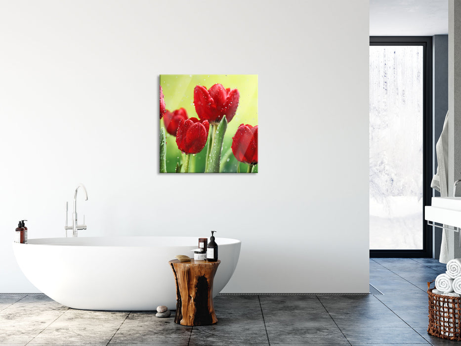 Rote Tulpen mit Tropfen bedeckt, Glasbild Quadratisch