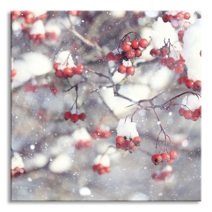 Pixxprint Vogelbeeren mit Schnee bedeckt, Glasbild Quadratisch