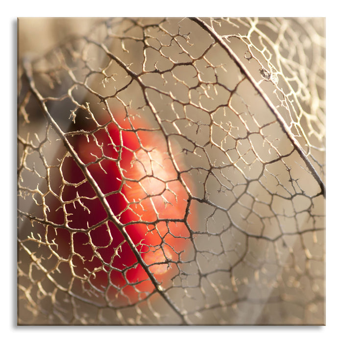 Pixxprint Rote Physalis, Glasbild Quadratisch