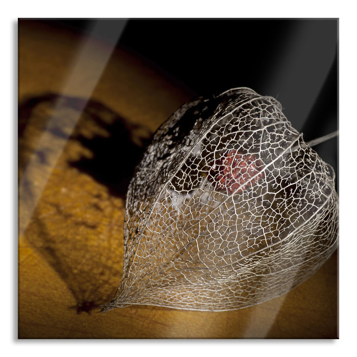 Pixxprint Schatten einer Physalis, Glasbild Quadratisch