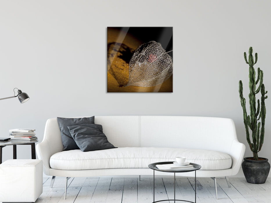 Schatten einer Physalis, Glasbild Quadratisch