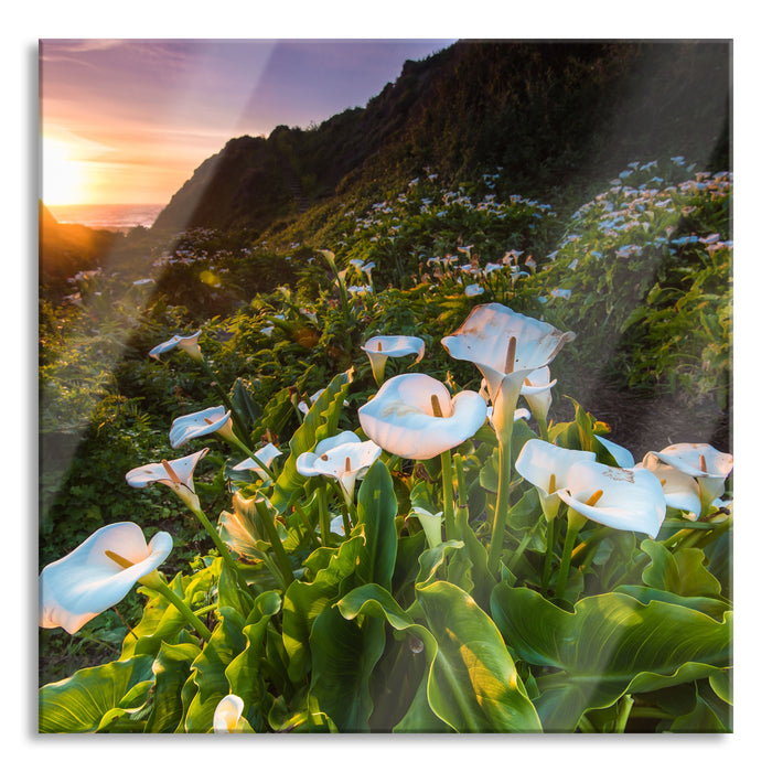 Pixxprint Blumenwiese in den Bergen, Glasbild Quadratisch