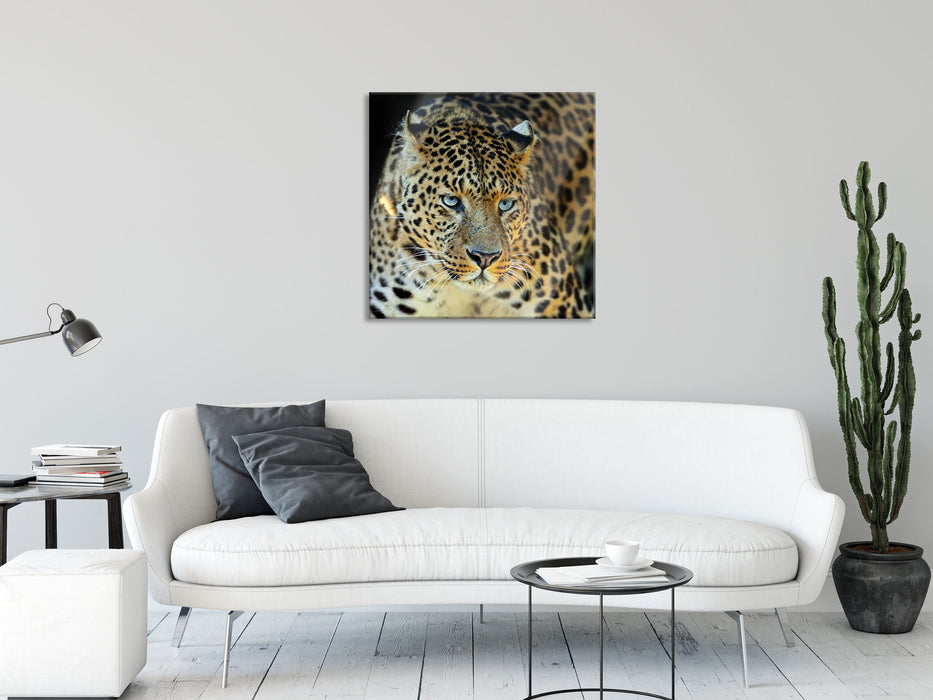 Prächtiger Leopard, Glasbild Quadratisch