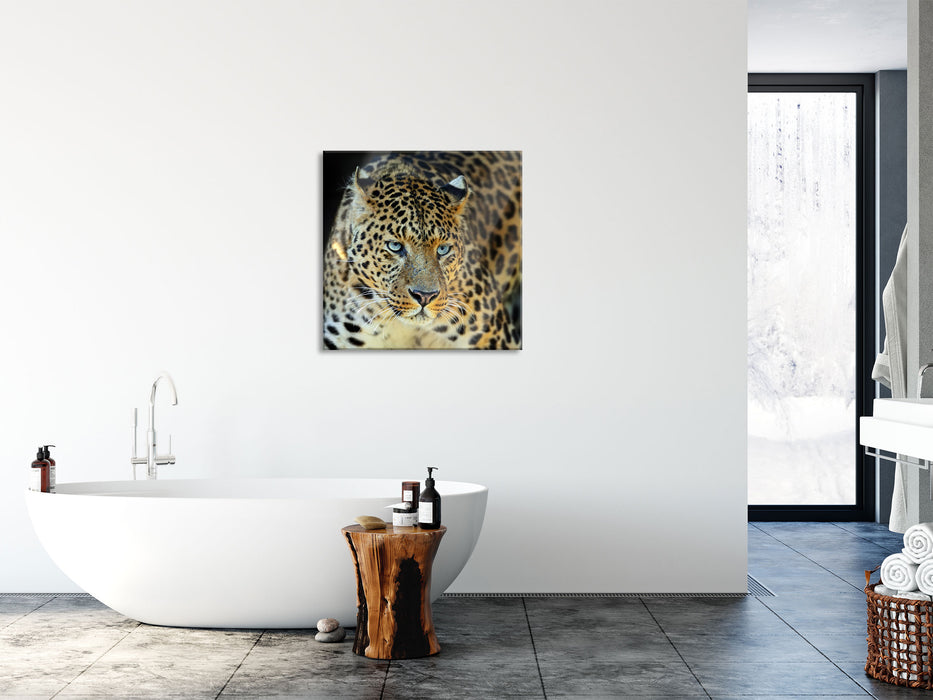 Prächtiger Leopard, Glasbild Quadratisch