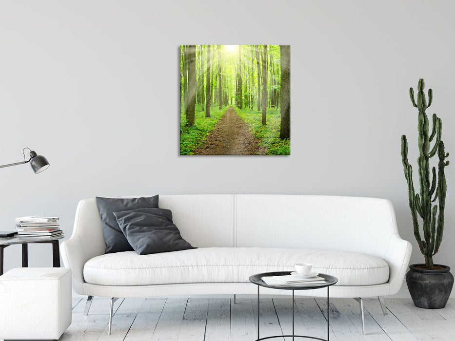 Sonne im Wald, Glasbild Quadratisch