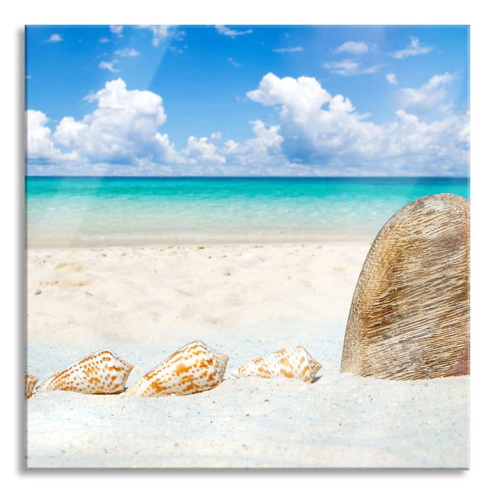 Pixxprint Sandstrand mit Muscheln, Glasbild Quadratisch