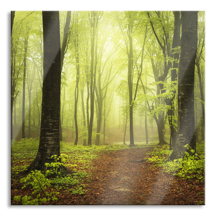 Pixxprint Weg im Wald, Glasbild Quadratisch