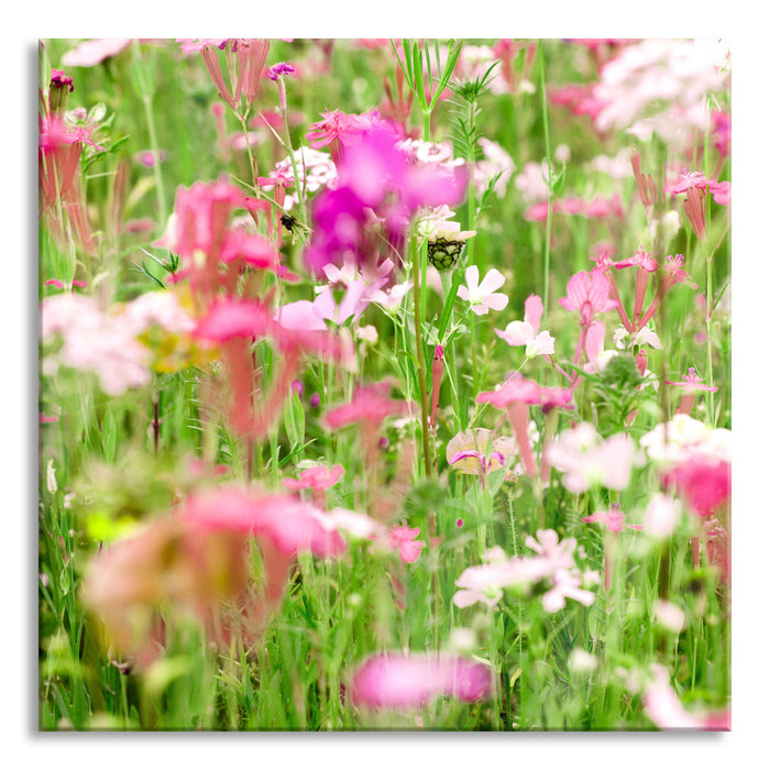 Pixxprint Wundervolle Blumenwiese, Glasbild Quadratisch