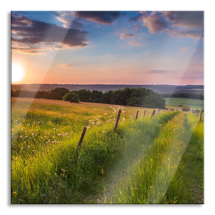 Pixxprint Bergwiese im Sonnenaufgang, Glasbild Quadratisch