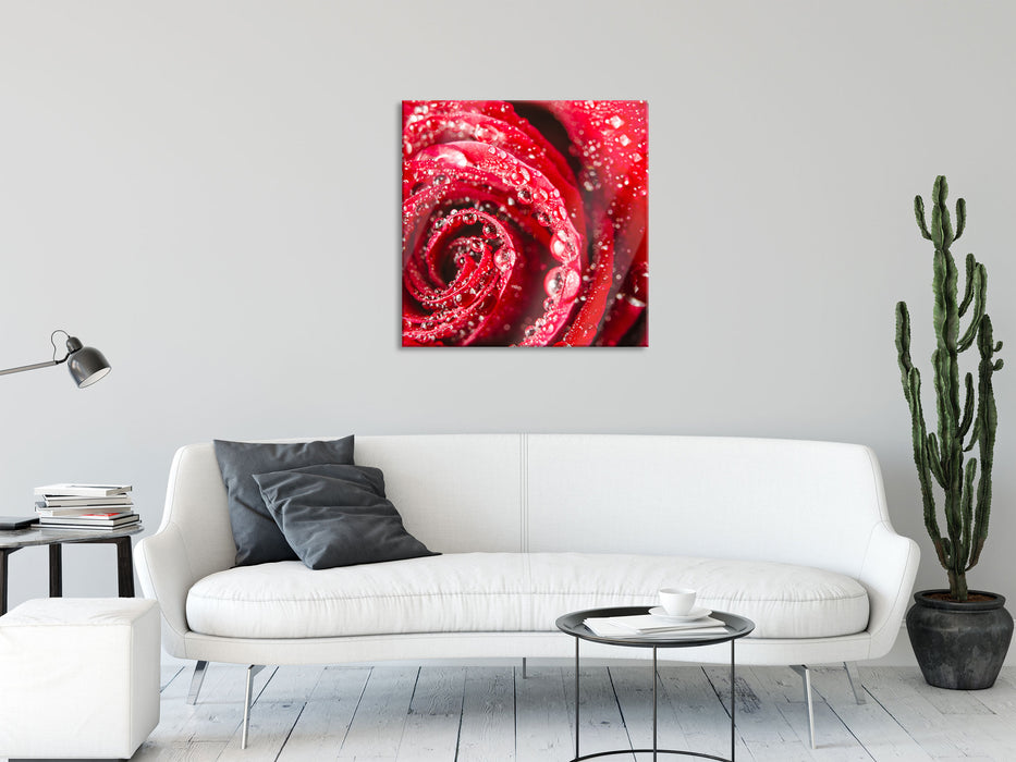 Rose mit Wassertropfen, Glasbild Quadratisch