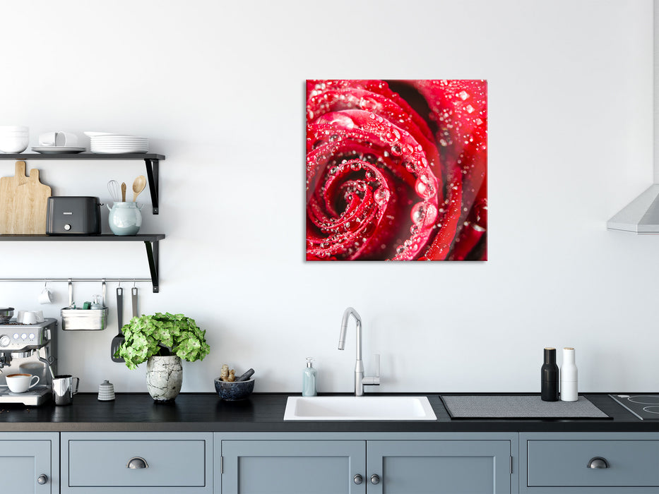 Rose mit Wassertropfen, Glasbild Quadratisch