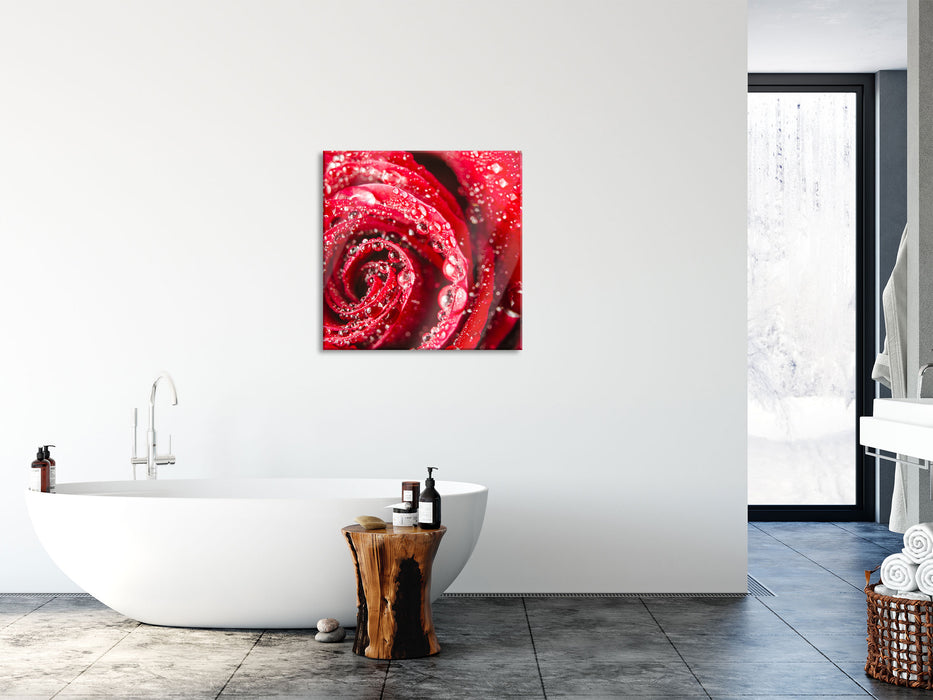 Rose mit Wassertropfen, Glasbild Quadratisch