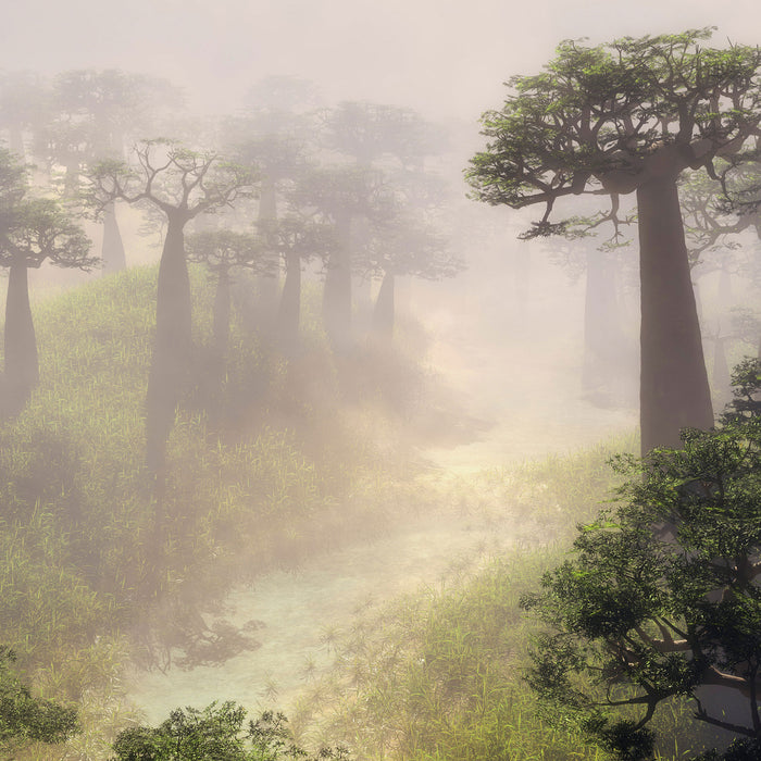 Mysteriöser Wald im Nebel, Glasbild Quadratisch