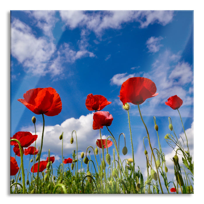 Pixxprint Wiese mit Blumen, Glasbild Quadratisch