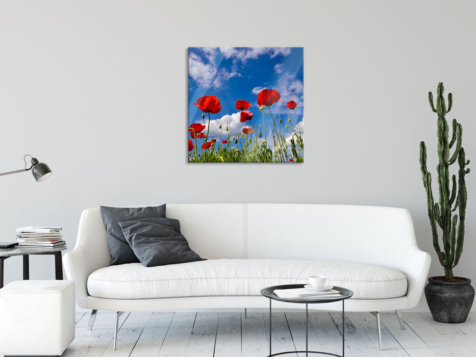 Wiese mit Blumen, Glasbild Quadratisch