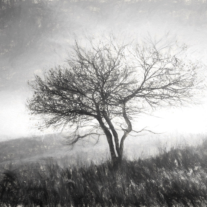 Baum in Landschaft, Glasbild Quadratisch