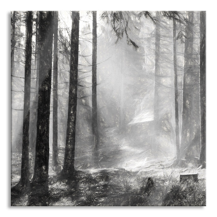 Pixxprint Sonnenstrahlen im Wald, Glasbild Quadratisch