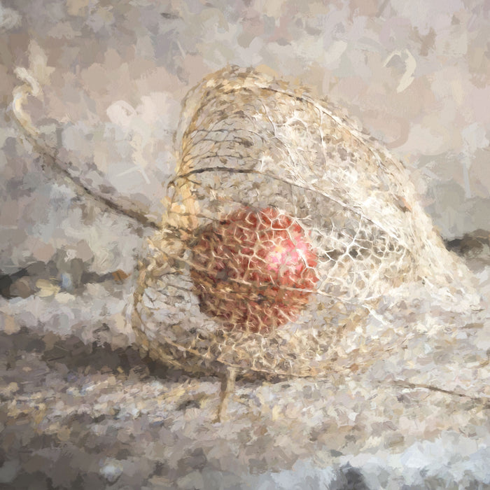 Physalis, Glasbild Quadratisch