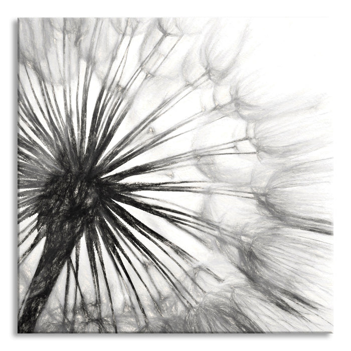 Pixxprint Schöne Pusteblume, Glasbild Quadratisch